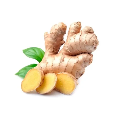 International Fresh Organic Ginger Premium Export